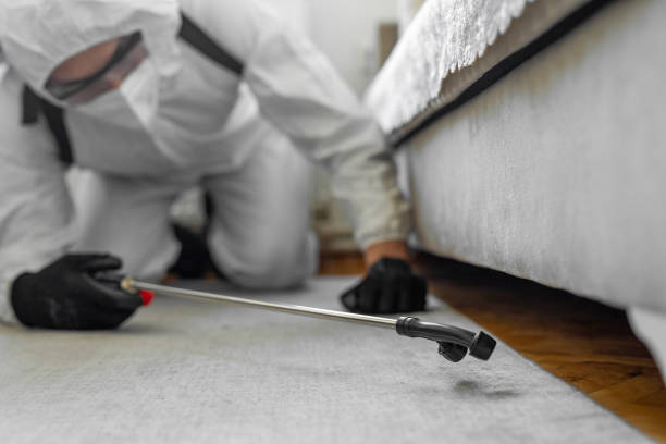 Professional Termite Control technician working in Donna, TX