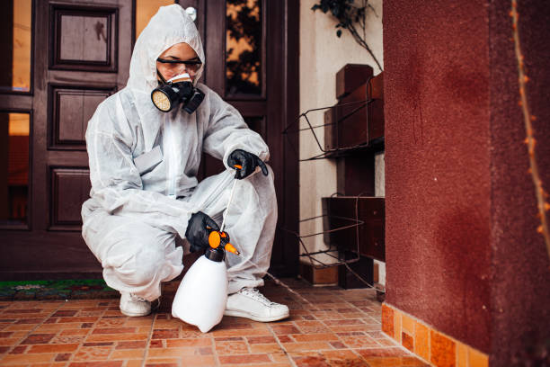 Reliable Termite Control contractor in Donna, TX by Nex Pest Control